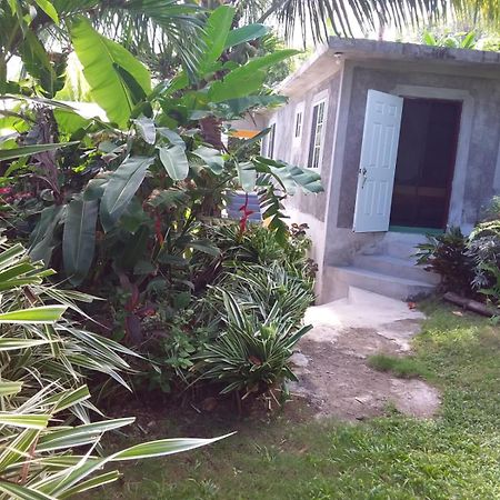 Port Antonio Brian'S Beach House Exterior foto