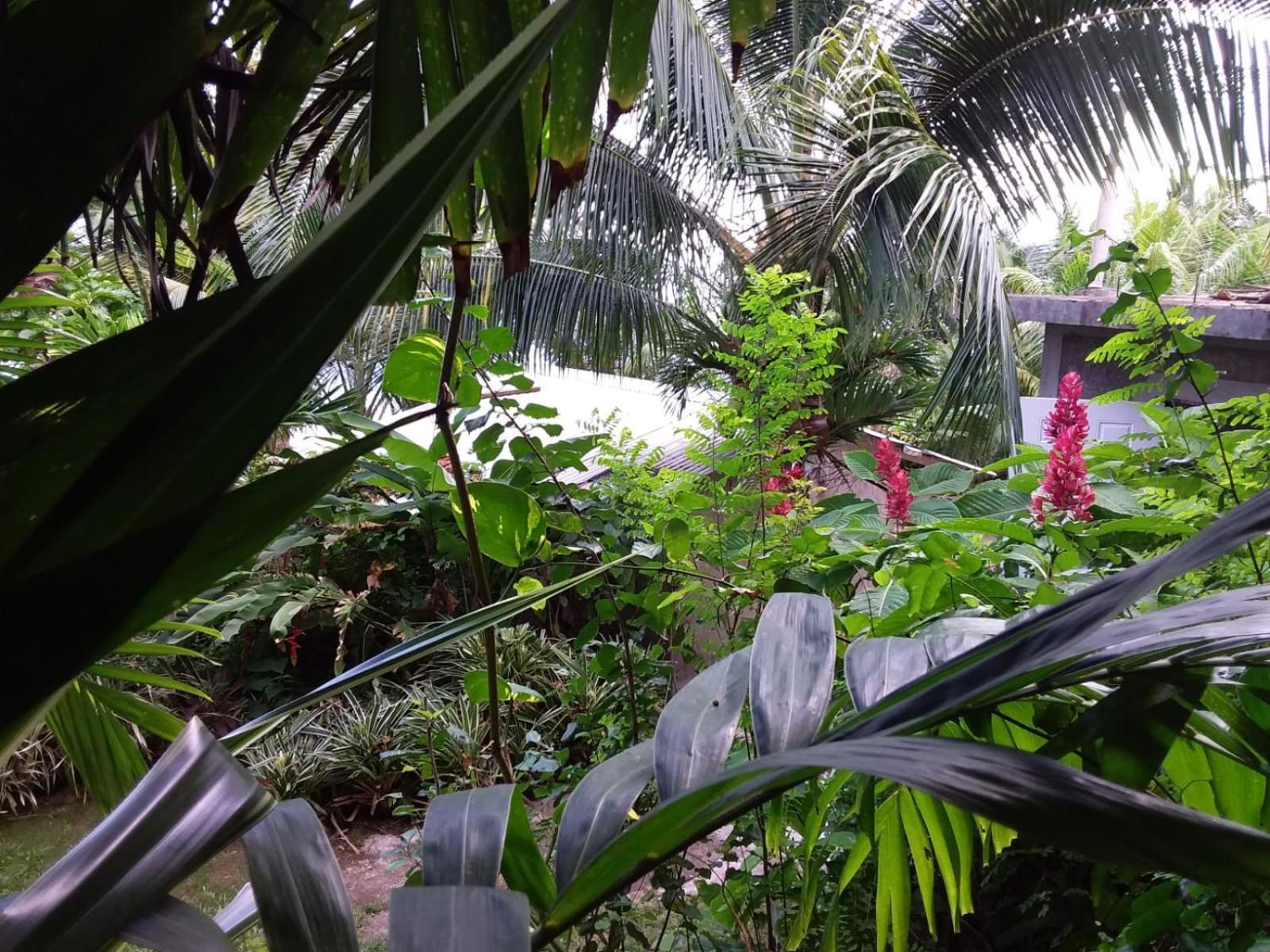 Port Antonio Brian'S Beach House Exterior foto