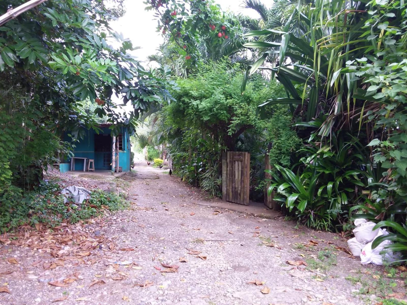 Port Antonio Brian'S Beach House Exterior foto