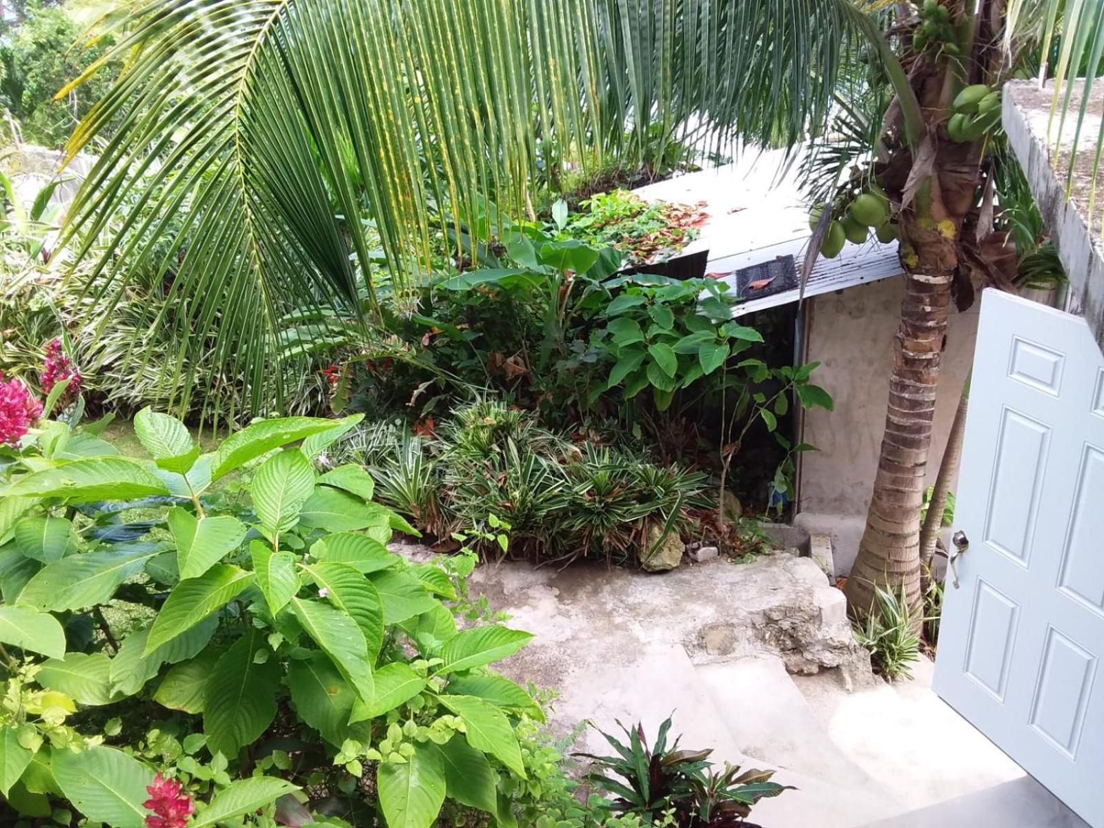 Port Antonio Brian'S Beach House Exterior foto